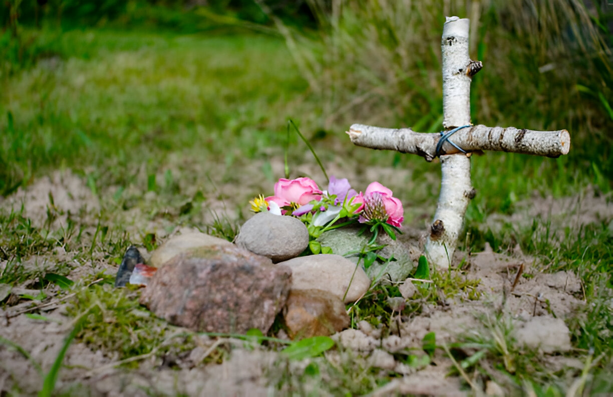 dog and cat cremation services